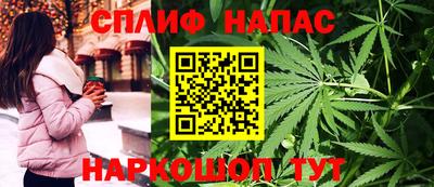 гашик Малгобек