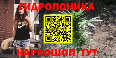 гашик Малгобек