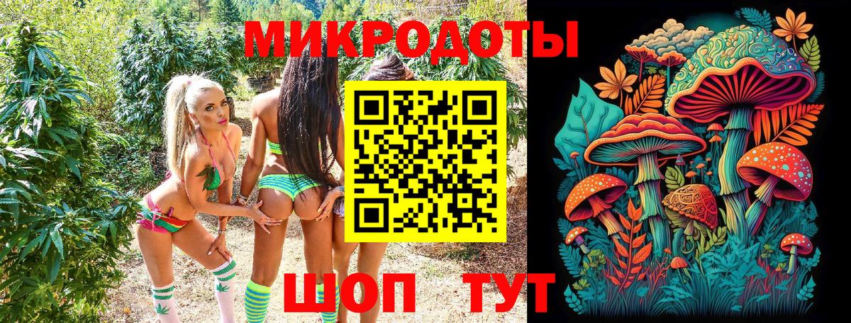 Псилоцибиновые грибы Cubensis  Вход с VPN  Владивосток  Псилоцибиновые грибы MAGIC MUSHROOMS 