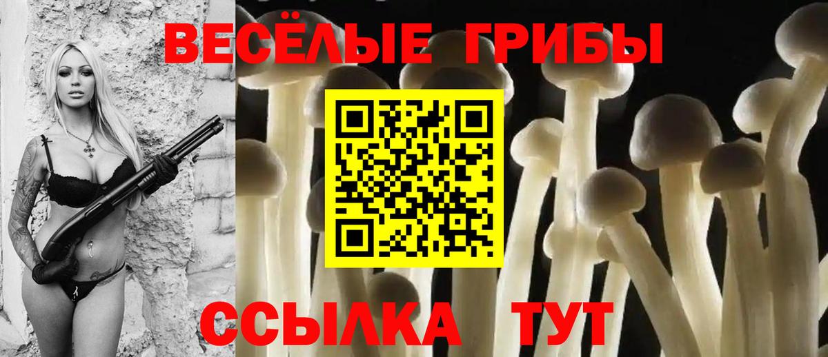Псилоцибиновые грибы MAGIC MUSHROOMS Владивосток